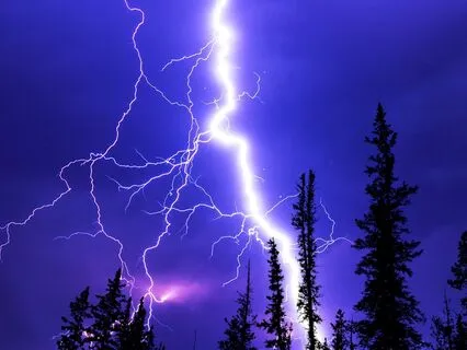 Mysterious Lightning With Mrs. Honeybee (Bedtime Story)