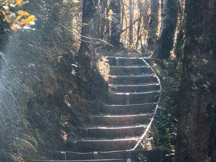 Mystery: Practice Morsels