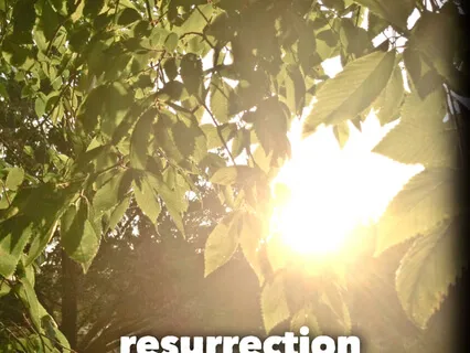 Mystery of New Life in the Resurrection - A Scripture Meditation