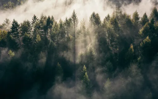 Mystic Earth - Nordic Ritual Drum (With Rain & Thunder)