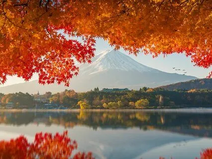 Mystic Echoes: Meditating at Mount Fuji's Feet