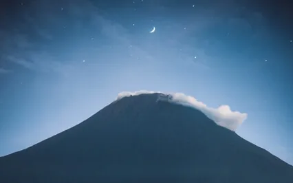 Mystic Forest Healing Sleep