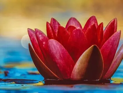 Mystic Garden - Inner Peace