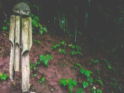 Mystic Heartbeat's Prayer