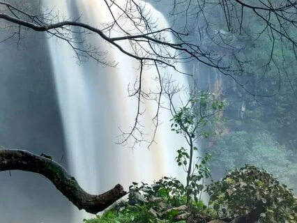 Mystic Jungle Waters – Amazon River Ambience