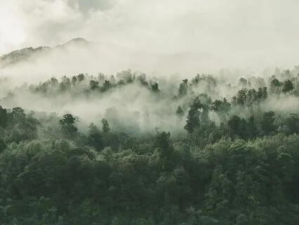 Mystic Melodies: Embracing The Enchanting Ambience