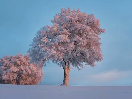 Mystic Moments (Resting In The light)