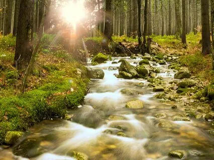 Mystic River ~ Flowing Ambient Music & Calming Water Sounds