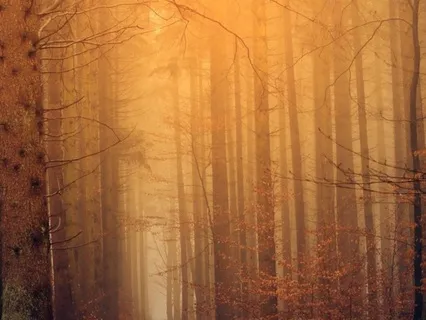 Mystic Serenity: Ambient Meditation