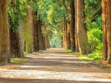 Mystic Serenity Music For Stress And Anxiety Relief