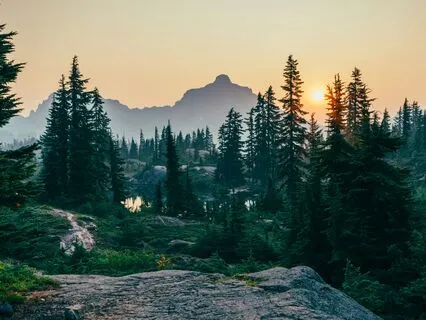 Mystic Voice Of The Still Earth