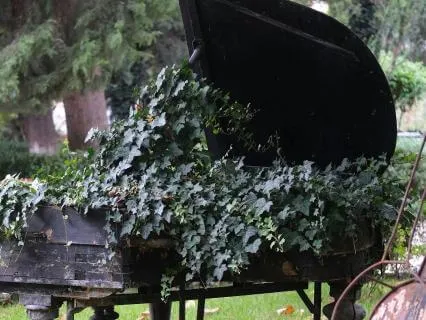 Mystical Cello And Piano