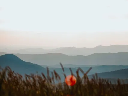 Mystical Celtic Relaxation Vibes For The Discerning Listener