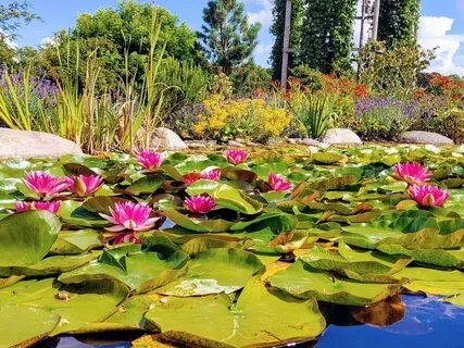 Mystical Encounters 1 - Chimes, Oud & Alto Sax