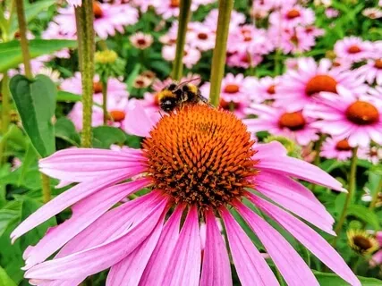 Mystical Encounters 2 - Ney Flute, Piano, Oud, Gong