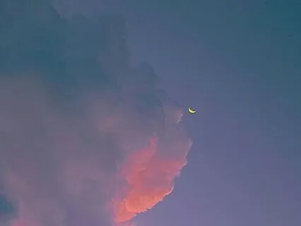 Mystical Flute Wonders