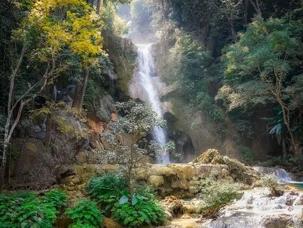 Mystical Forest Journey: Connect With Nature & Inner Peace