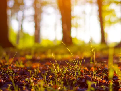 Mystical Jaw Harp - Deep Ambient Music For Inner Journey