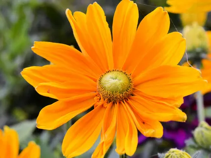 Mystical Meditation: Reconnect To Your Love