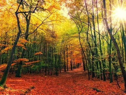 Mystical Melodies With 174 Hz