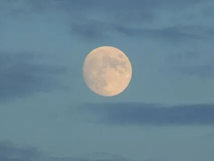 Mystical Moon Tribute