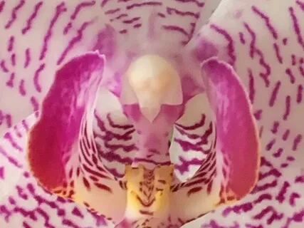 Mystical Perspectives, Healing