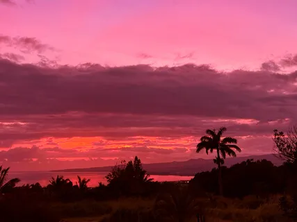 Mystical Perspectives; The Presence