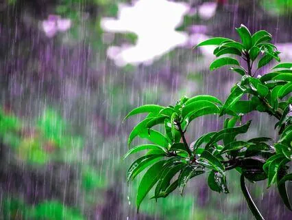 Mystical Sirens 285hz Reiki Music With Soothing Rain