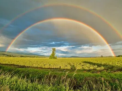 Mystical Sleep Sanctuary - Restorative Night Sounds