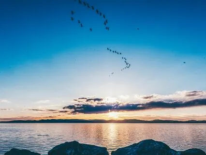 Mystical Sound Healing Mornings