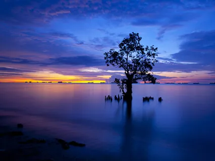 Mystical Space Of Peace 