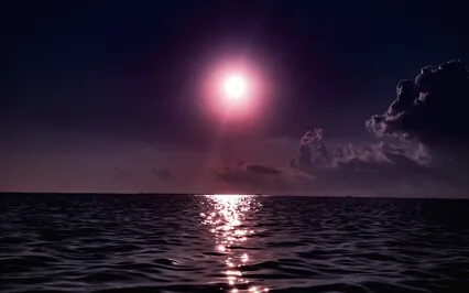 Mystical Underwater World | Sleep Meditation Story