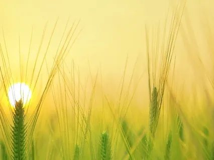 Mythical Light Meditation For Focus