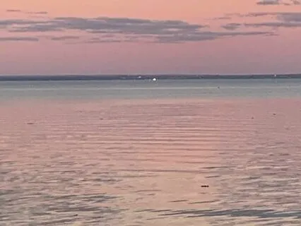 Nærvær Med Kroppen