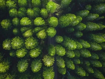 Поддержка Высших Сил. Медитация на Каждый День