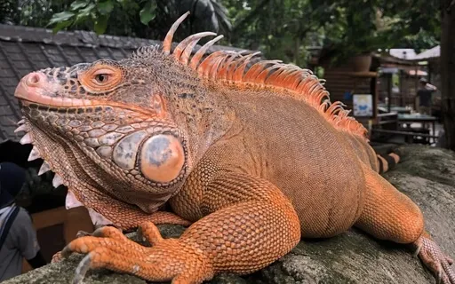 Na nic nie ma czasu i za późno aby coś zmieniać. Odc 56