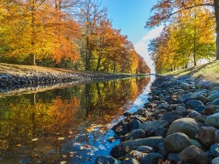 Наблюдение за Мыслями: Листья в Ручье