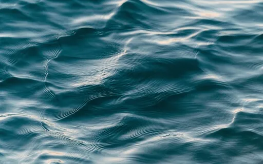 Наблюдение за тремя каналами восприятия