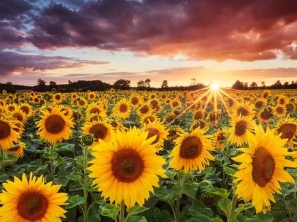 Начни Утро с Насыщения Кислородом