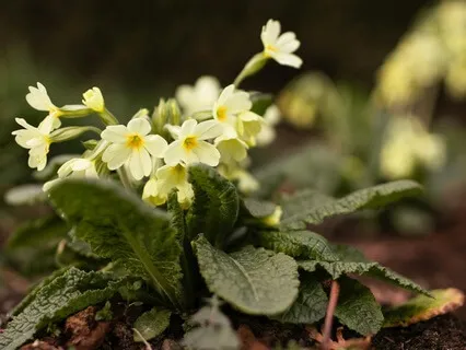 Nagging Thought Or True Calling? - February 23