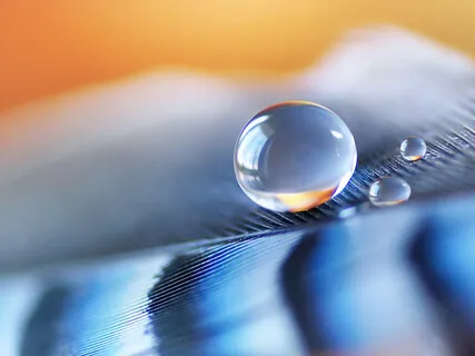 Walking On The Razor's Edge Of Freedom