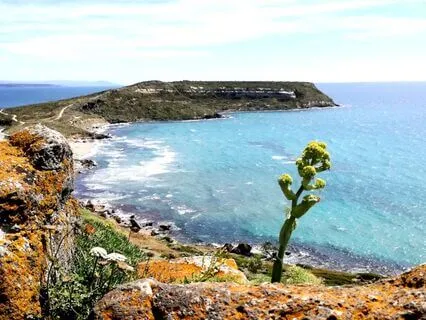 Nam Myoho Renge Kyo Female Voice Chant for Inner Peace