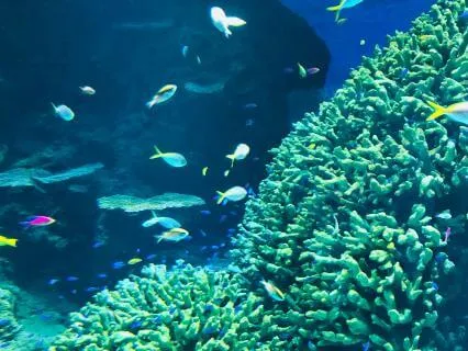 Name It To Tame It: A Short Meditation For Emotional Calm