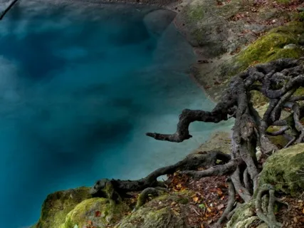 Naming Thoughts, Releasing Anxiety & Worry