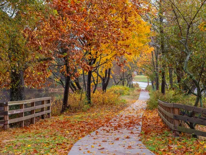 Namo 'Valokiteshvaraya