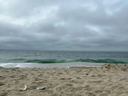 Nantucket Ocean Sounds