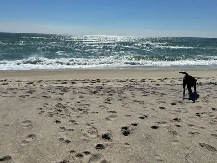 Nantucket Ocean Spring Equinox 2026 Ambient Sound