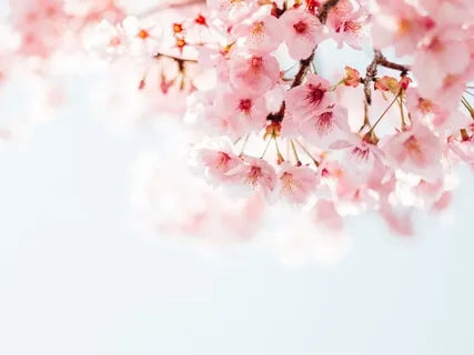 Наполнение Сердечного Пространства