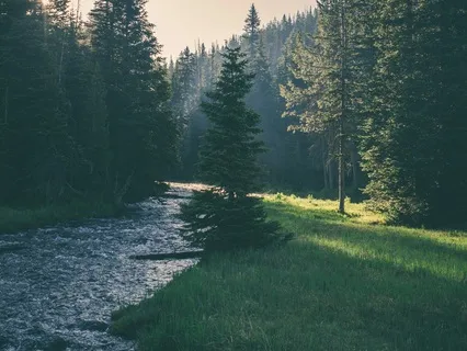 Naps: A Sleep-Inducing Journey