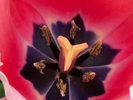 Narcissistic Abuse: You Are Not What Happened To You